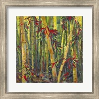 Bamboo Grove I Fine Art Print