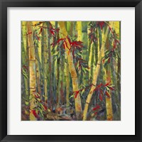 Bamboo Grove I Framed Print