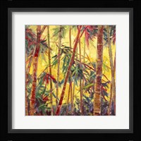 Bamboo Grove II Fine Art Print