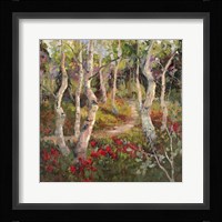 Four Seasons Aspens I Fine Art Print