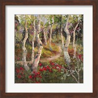 Four Seasons Aspens I Fine Art Print