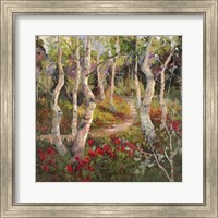 Four Seasons Aspens I Fine Art Print