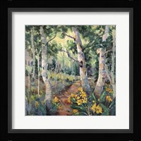 Four Seasons Aspens II Fine Art Print