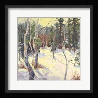 Four Seasons Aspens IV Fine Art Print