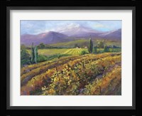 Vineyard Tapestry I Fine Art Print