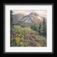 Western Vistas III Fine Art Print