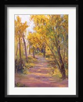 Cottonwoods Calling Fine Art Print