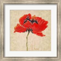 Vivid Red Poppies III Fine Art Print
