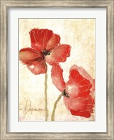 Vivid Red Poppies IV Fine Art Print