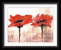 Vivid Red Poppies V Fine Art Print