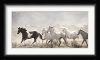 Open Range Framed Print