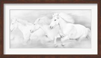 All the White Horses Fine Art Print