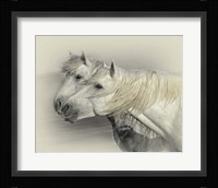 Curiosity Framed Print