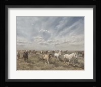 Big Sky Fine Art Print