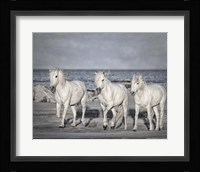 Morning Run Fine Art Print