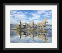 On the Run Fine Art Print