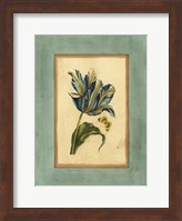 Crackled Spa Blue Tulip II Fine Art Print