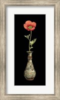 Poppy Magic III Fine Art Print