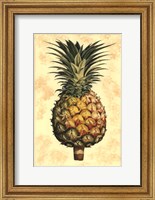 Pineapple Splendor I Fine Art Print
