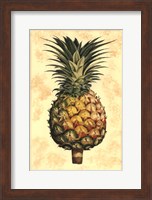 Pineapple Splendor I Fine Art Print
