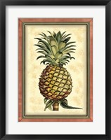Pineapple Splendor II Fine Art Print