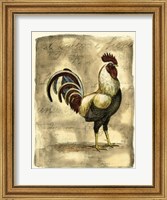 Tuscany Rooster I Fine Art Print