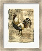 Tuscany Rooster II Fine Art Print