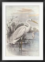 Oversize White Heron Fine Art Print