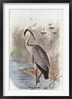 Oversize Common Heron Fine Art Print
