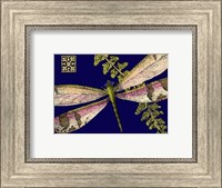 Mini Shimmering Dragonfly II Fine Art Print