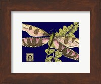 Mini Shimmering Dragonfly IV Fine Art Print