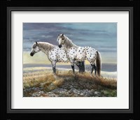 Appaloosa Sundown Fine Art Print