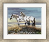 Appaloosa Sundown Fine Art Print