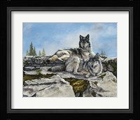 Mountain Morning Fine Art Print