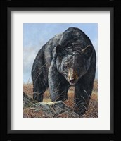 Surprise Meeting Fine Art Print