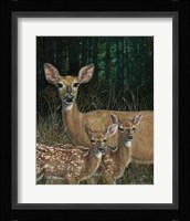 On Alert Fine Art Print