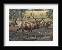 His Majesty Fine Art Print