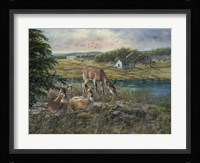 Evening Shadows Fine Art Print