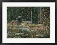 Twilight Sighting Fine Art Print