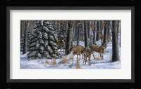 Winter Gathering Fine Art Print