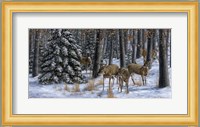 Winter Gathering Fine Art Print