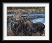 Hello Handsome Fine Art Print