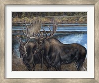 Hello Handsome Fine Art Print