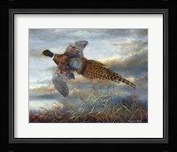 Taking Flight Fine Art Print