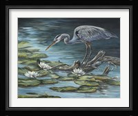 Heron Haven Fine Art Print
