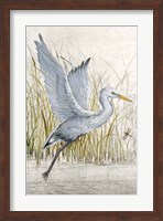 Heron Sanctuary I Fine Art Print
