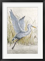 Heron Sanctuary I Framed Print