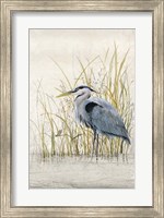 Heron Sanctuary II Fine Art Print