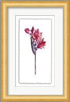 Floral Watercolor V Fine Art Print