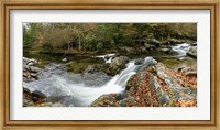 River Panorama Fine Art Print